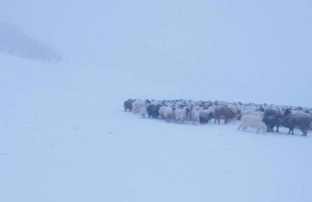 Малдаа явсан иргэн осгож, нас баржээ